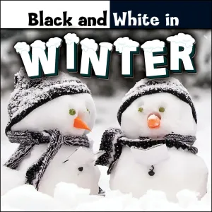 2015 - Black and White in Winter (eBook)