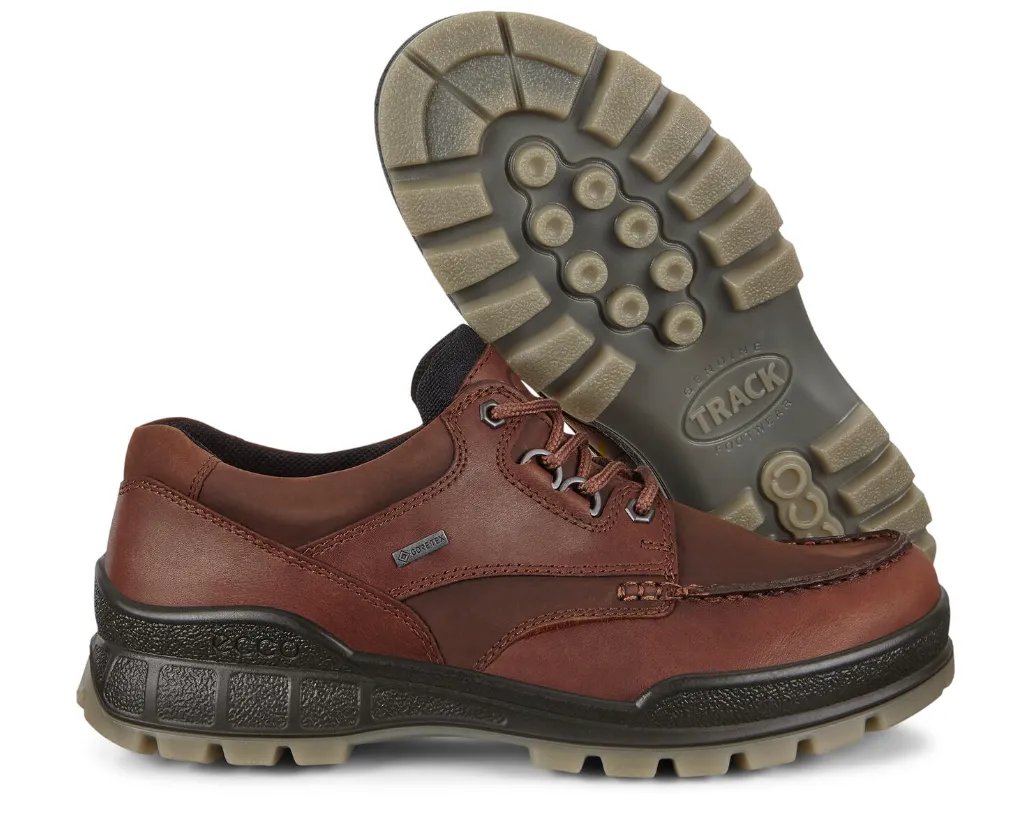 Ecco Men’s Track 25 Low Top Waterproof Hiking Shoe